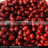 fresh Dried red Chinese dates