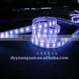 3528 Purple LED Strip