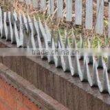 Galvanized and Pvc Coated Wall Spikes From Suppliers