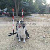 Pet Dog Agility Weave Pole Slalom