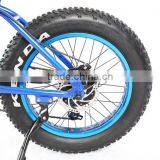 20" Foldable Fat Electric Bike 1000w Electric Bike China thumbnail-2