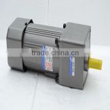 High torque AC Induction Reducer with gearhead reducer