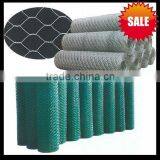 Green, Black PVC Chicken Coop Galvanized Wire Mesh