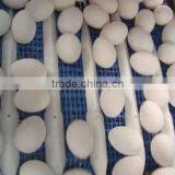 FRESH TABLE EGGS WHITE AND BROWN BRAZIL ORIGIN