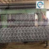 Chicken Wire Mesh/ Dog Cages