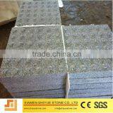 Chinese Natural Granite Tactile Flooring