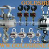 Electronic Crane Scale thumbnail-1