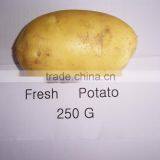 250g Fresh Potato 10kg Bag and Carton Packing thumbnail-5