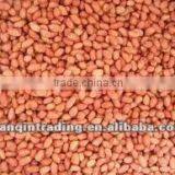 Red Peanut thumbnail-1