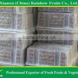 Chinese Fresh Delicious Red Table Globe Grape Wine Grapes thumbnail-5