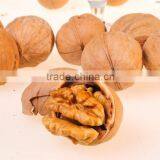Walnut Hot Sale thumbnail-4