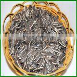 Sale Chinese Raw or Roasted High Quality and Inexpensive Sunflower Seeds in Shell thumbnail-1