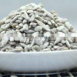 Sunflower Kernels for Food thumbnail-1