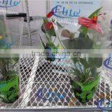 416 Grow Seedlings Tray Cart thumbnail-1