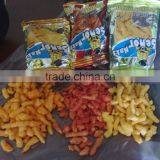 The Screw/Shell/Bugles Chips Processing Line thumbnail-6