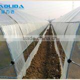 Polythene Film Greenhouse For Agriculture thumbnail-1