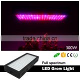Promote Plants Growth Dimmable 300W Led Grow Light for Sale