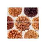 NON-GM TVP 50% Textured Soy Protein thumbnail-1