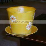 Customizedl Mug ,Yellow Metal Cup and Saucer Pot Container Planter thumbnail-5