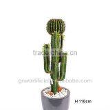 GNW G85 Tropical Tree Plant Larger Pot Home Decoration Hot Sell thumbnail-2