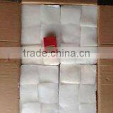 Squid Fillets of Giant Squid thumbnail-3