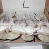 Seafood and Crab Meat thumbnail-1