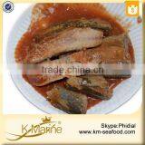 New Processing Halal Mackerel in Tomato Sauce With Chilli thumbnail-2