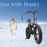 500W Big Power Electric Bicycle Beach Cruiser Ebike for Adults thumbnail-5