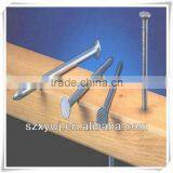 XY Common Galvanized Wire Nail With Flat Head thumbnail-1