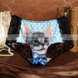 Fancy Cat Underwear Low Waist Sexy Women Panties thumbnail-3