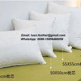 Duck Down Feather Cushion in 100% Cotton Fabric for Home /hotel Use thumbnail-4