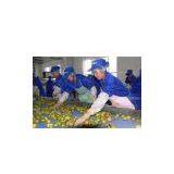 Apple Juice Processing Production Line Equipment thumbnail-1