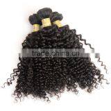 Fast Delivery Online Shop 100% Unprocessed Wholesale Tangle Free No Shedding Curly Raw Virgin Indian Hair thumbnail-3