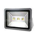 200W Waterproof LED Flood Light High Efficiency LED Garden Lights