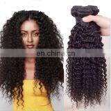 2017 hot sale kinky curly virgin hair real mink brazilian hair