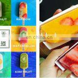 Stainless Steel Popsicle Maker Machine Home Use Ice Lolly Making Machine Ice Lolly Making Machine thumbnail-2