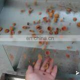 Nut apricot almond husk shell kernel separator separating machine