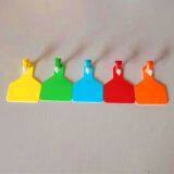 Cheap Price One Piece Type TPU Visual Cattle Ear Tag thumbnail-3