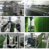 Qingdao Udine Rubber Plastic Co.,Ltd company overview - view 1 thumbnail