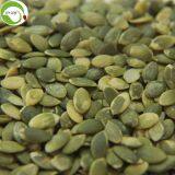 Supply Raw Dried Shine Skin Pumpkin Seed Kernels thumbnail-1