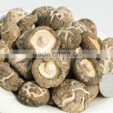 Dried White Flower Mushroom