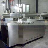 Fastback Conveyor in Chips Production Line