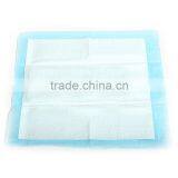 Potty Training a Puppy Puppy Potty Training Tips Puppy Pad Grass