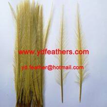 Burnt Ringneck Pheasant Tail Feather Dyed Yellow from China
