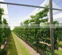 Anti UV Transparent PE Tarpaulin for Cherry Tree Protection Cover thumbnail-2