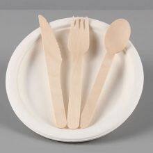 Biodegradable Sugarcane Bagasse Pulp Tableware