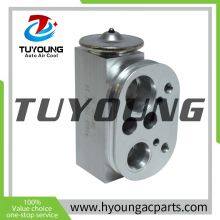 China Factory Manufacture Air Conditioner Expansion Valve for 2014-2016 BMW 228i 2.0L, HY-PZF295 thumbnail-2