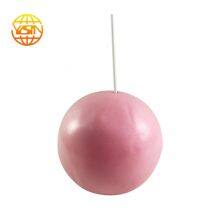 Custom Logo Widely Used 20cm 25cm Pink Yoga Pilates Ball thumbnail-3