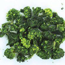 Factory's Best Selling Freeze Dried Broccoli thumbnail-5