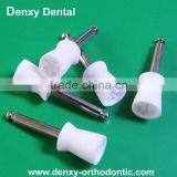 Denxy Star Dental materias Screw style flat prophy cup dental disposable prophy cup for polishing